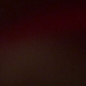 Meet your Posher, Bridget